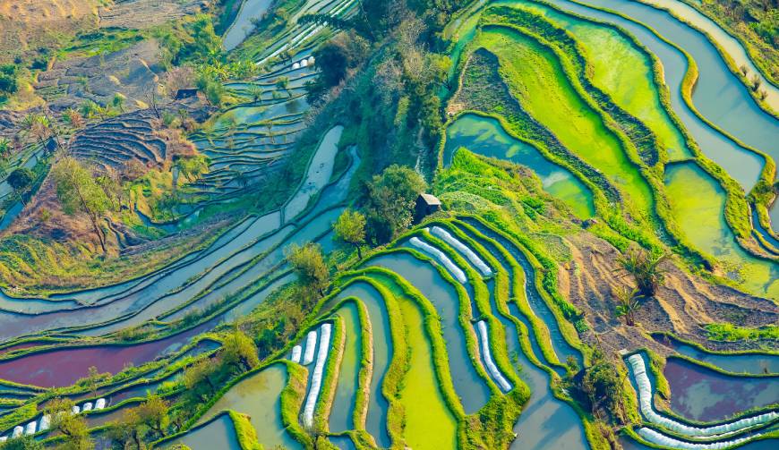宝妈必备神器：通山县产品视频拍摄轻松育儿好帮手
