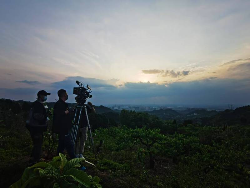 聚焦通山县产品宣传视频拍摄公司，用专业实力铸就品牌传播传奇