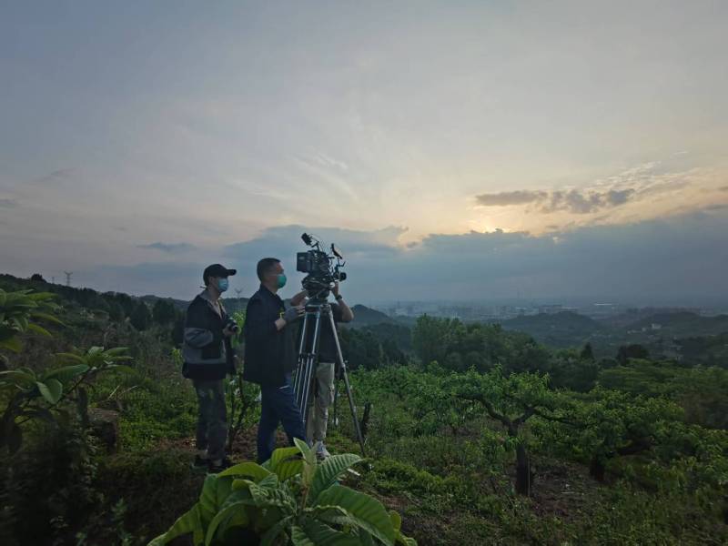 创意破圈！通山县电商产品宣传视频用故事化叙事引爆流量