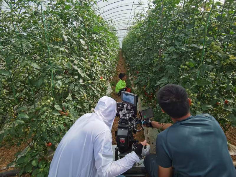 通山县产品宣传视频拍摄公司进阶指南，助力品牌抢占传播高地